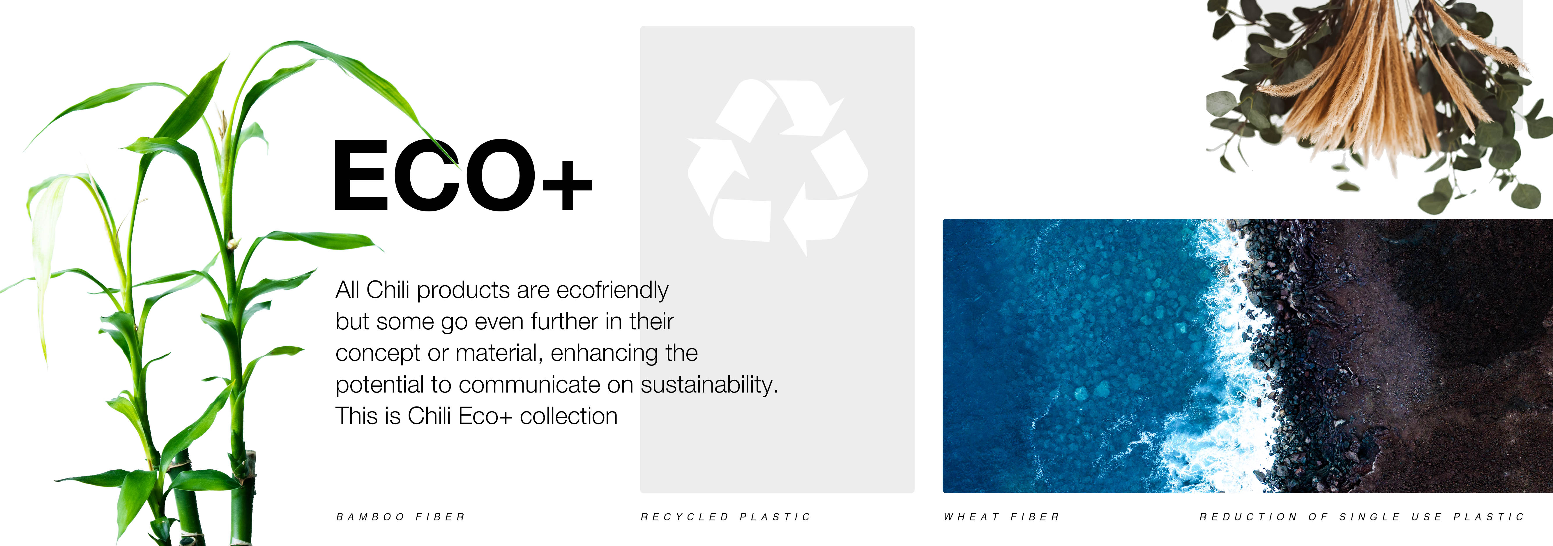 ECO+