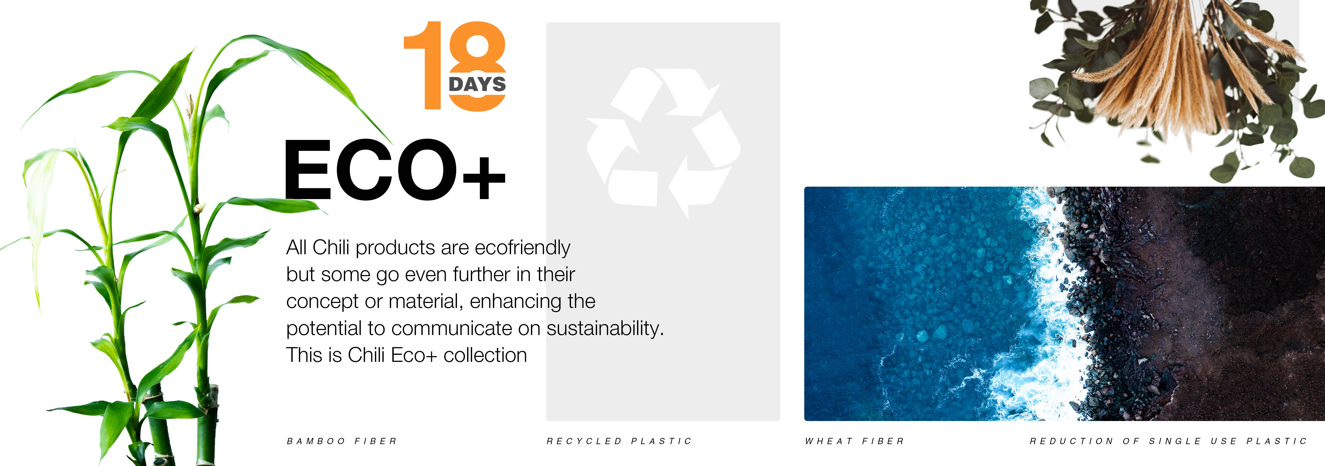18D | ECO+