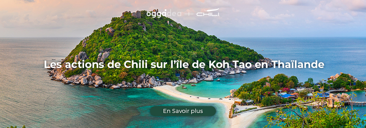 koh tao project FR
