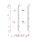 BND183_Custom_Printing-01.webp