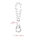 BND1550_Custom_Printing.webp